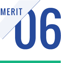 MERIT06