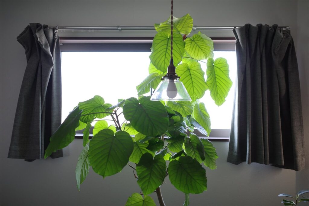 ふたりぐらしさんのお部屋 写真6